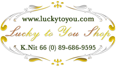 Logo Intro